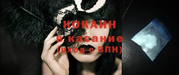 шишки Вяземский