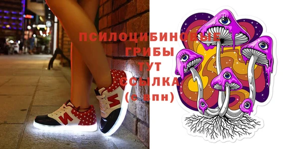 молекула духа Беломорск